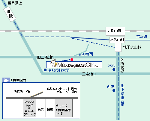 診療方針