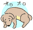 新しい環境(ホテルやドッグカフェなど)に馴染みにくいワンコ
